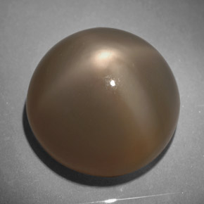 18.64 ct Gray Star Moonstone Stone, Natural Star Moonstone in Round Cabochon Shape for Sale