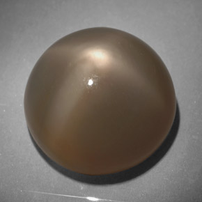 Star Moonstone Gemstone in 15.8 mm Size for Sale, Star Moonstone Stone in Smoke Color