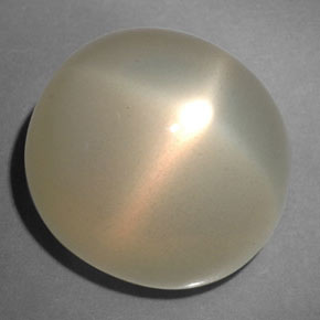 21.67 ct Cream Star Moonstone Stone, Natural Star Moonstone in Oval Cabochon Shape for Sale