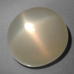 Star Moonstone Gemstone in 15.2 x 13.7 mm Size for Sale, Star Moonstone Stone in Cream Color