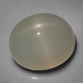 Star Moonstone Gemstone in 16.6 x 14.2 mm Size for Sale, Star Moonstone Stone in Cream Color