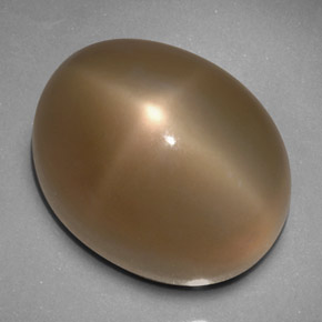 33.24 ct Gray Star Moonstone Gemstone, Star Moonstone Gem in Oval Cabochon Shape for Sale.