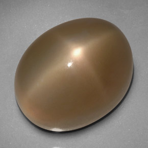 33.24 ct Gray Star Moonstone Stone, Natural Star Moonstone in Oval Cabochon Shape for Sale
