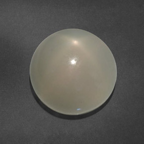 15.64 ct White Star Moonstone Stone, Natural Star Moonstone in Round Cabochon Shape for Sale