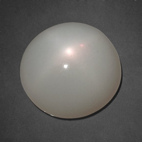10.98 ct White Star Moonstone Gemstone, Star Moonstone Gem in Round Cabochon Shape for Sale.
