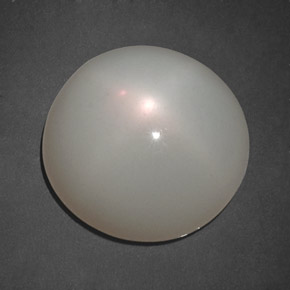 10.98 ct White Star Moonstone Stone, Natural Star Moonstone in Round Cabochon Shape for Sale