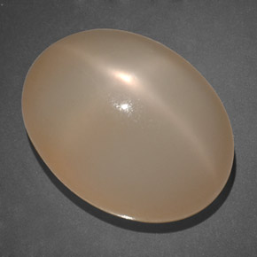 19.69 ct Orange Star Moonstone Gemstone, Star Moonstone Gem in Oval Cabochon Shape for Sale.