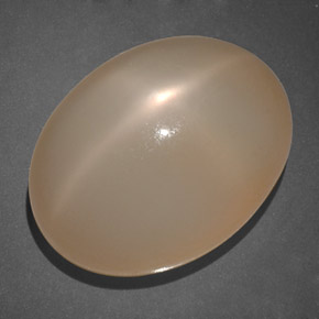 19.69 ct Orange Star Moonstone Stone, Natural Star Moonstone in Oval Cabochon Shape for Sale