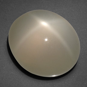 20.40 ct Cream Star Moonstone Stone, Natural Star Moonstone in Oval Cabochon Shape for Sale