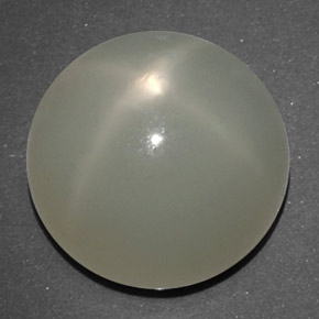 14.02 ct White Star Moonstone Gemstone, Star Moonstone Gem in Round Cabochon Shape for Sale.