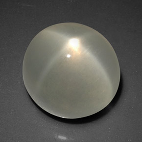 Star Moonstone Gemstone in 10.9 x 10 mm Size for Sale, Star Moonstone Stone in Cream Color