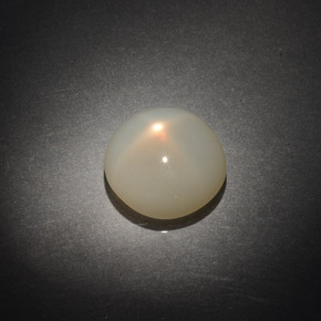 9.61 ct Cream Star Moonstone Gemstone, Star Moonstone Gem in Round Cabochon Shape for Sale.