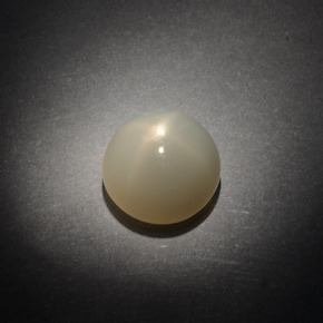 14.02 ct White Star Moonstone Gemstone, Star Moonstone Gem in Round Cabochon Shape for Sale.