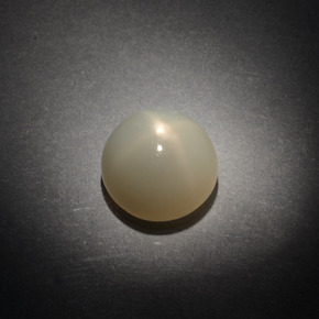 14.02 ct White Star Moonstone Stone, Natural Star Moonstone in Round Cabochon Shape for Sale