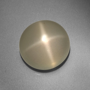 13.66 ct Cream Star Moonstone Gemstone, Star Moonstone Gem in Round Cabochon Shape for Sale.