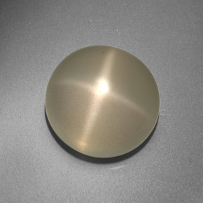 13.66 ct Cream Star Moonstone Stone, Natural Star Moonstone in Round Cabochon Shape for Sale