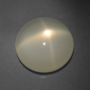 16.68 ct Cream Star Moonstone Gemstone, Star Moonstone Gem in Round Cabochon Shape for Sale.