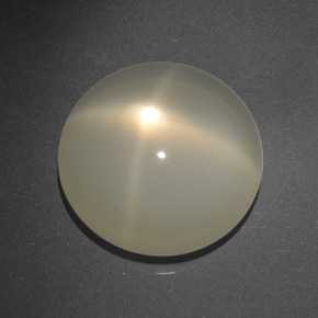16.68 ct Cream Star Moonstone Stone, Natural Star Moonstone in Round Cabochon Shape for Sale