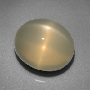 Star Moonstone Gemstone in 13.1 x 10.9 mm Size for Sale, Star Moonstone Stone in Cream Color