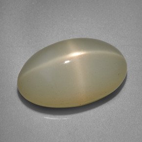 12.06 ct Cream Star Moonstone Gemstone, Star Moonstone Gem in Oval Cabochon Shape for Sale.