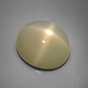 Star Moonstone Gemstone in 14.3 x 12.7 mm Size for Sale, Star Moonstone Stone in Cream Color