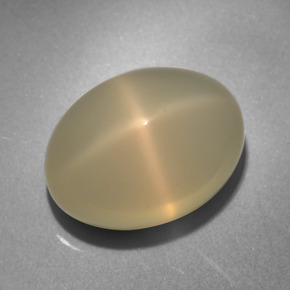 13.8ct Oval Cabochon Cream Star Moonstone Gem for sale 13.8ct Oval Cabochon Cream Star Moonstone Gem (ID: 403196)