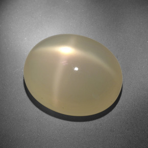 Star Moonstone Gemstone in 19.1 x 15.5 mm Size for Sale, Star Moonstone Stone in Cream Color