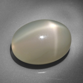 23.34 ct Cream Star Moonstone Stone, Natural Star Moonstone in Oval Cabochon Shape for Sale