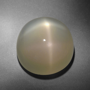 24.71 ct Cream Star Moonstone Stone, Natural Star Moonstone in Round Cabochon Shape for Sale