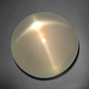Star Moonstone Gemstone in 18.3 mm Size for Sale, Star Moonstone Stone in Cream Color