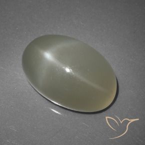 Star Moonstone Gemstone in 17.3 x 11.4 mm Size for Sale, Star Moonstone Stone in Warm White Color