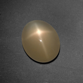 Star Moonstone Gemstone in 11.9 x 9.6 mm Size for Sale, Star Moonstone Stone in Cream Peach Color