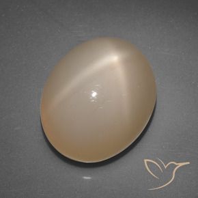 Star Moonstone Gemstone in 12 x 10 mm (calibrated) Size for Sale, Star Moonstone Stone in Medium Orange Color