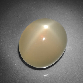 7.27 ct Cream Star Moonstone Stone, Natural Star Moonstone in Oval Cabochon Shape for Sale