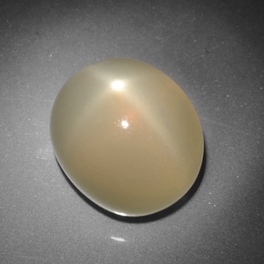 Star Moonstone Gemstone in 11.4 x 10 mm Size for Sale, Star Moonstone Stone in Cream Color