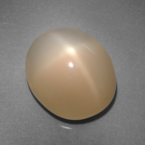 6.87 ct Orange Star Moonstone Gemstone, Star Moonstone Gem in Oval Cabochon Shape for Sale.