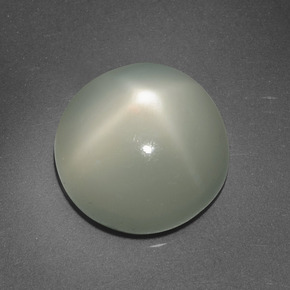 6.95 ct Cream Star Moonstone Gemstone, Star Moonstone Gem in Round Cabochon Shape for Sale.