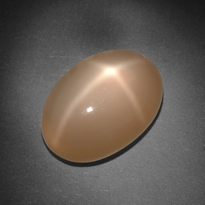 8.01 ct Orange Star Moonstone Gemstone, Star Moonstone Gem in Oval Cabochon Shape for Sale.