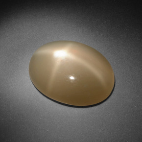 8.09 ct Cream Star Moonstone Stone, Natural Star Moonstone in Oval Cabochon Shape for Sale
