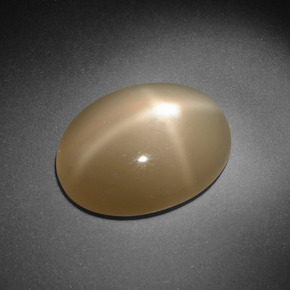 Star Moonstone Gemstone in 16.4 x 12.8 mm Size for Sale, Star Moonstone Stone in Cream Color