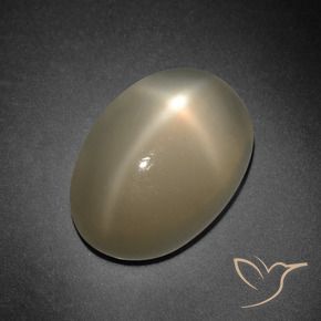 Star Moonstone Gemstone in 14 x 10 mm (calibrated) Size for Sale, Star Moonstone Stone in Medium-Dark Orange Color
