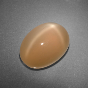 7.3ct Oval Cabochon Peach Orange Star Moonstone for sale thumb image of 7.3ct Oval Cabochon Peach Orange Star Moonstone (ID: 414104)