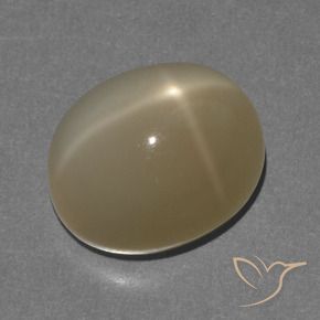 Star Moonstone Gemstone in 12.7 x 10.2 mm Size for Sale, Star Moonstone Stone in Brownish Orange Color