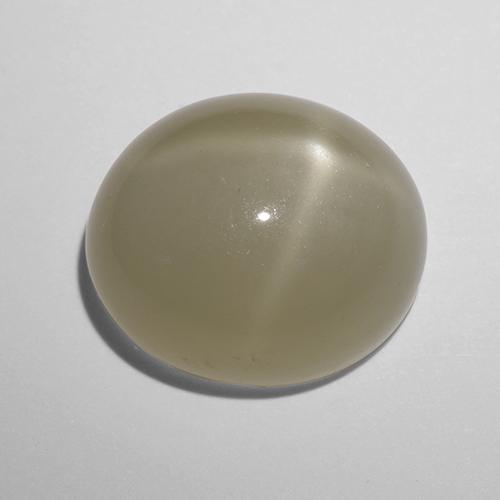 Star Moonstone Gemstone in 14 x 12 mm (calibrated) Size for Sale, Star Moonstone Stone in Light Yellow Color