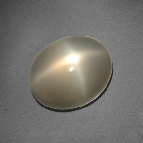 6.62 ct Cream Star Moonstone Stone, Natural Star Moonstone in Oval Cabochon Shape for Sale
