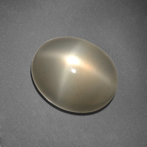 Star Moonstone Gemstone in 13 x 10.7 mm Size for Sale, Star Moonstone Stone in Cream Color