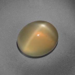 Warm Yellow Star Moonstone Gem - 5.4ct Oval Cabochon (ID: 416504)