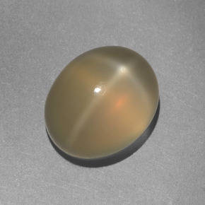 5.8ct Oval Cabochon Cream Star Moonstone Gem for sale 5.8ct Oval Cabochon Cream Star Moonstone Gem (ID: 416510)
