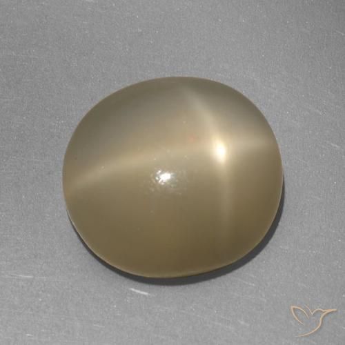 Pierre de Lune Étoilé Orange Ovale 12,3 x 11,5mm de l'Inde, poids de 6,41 ct, pierre gemme naturelle Non traité de pureté Translucide, 1 pièce Pierre de Lune Étoilé oval cabochon, couleur : Orange brunâtre, dureté de Mohs de 6 à 6.5, Photo A