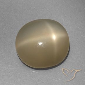 Star Moonstone Gemstone in 12.3 x 11.5 mm Size for Sale, Star Moonstone Stone in Brownish Orange Color